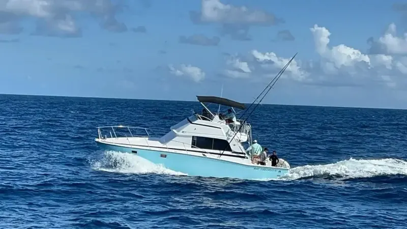 Bertram 40 Ft, photo 1