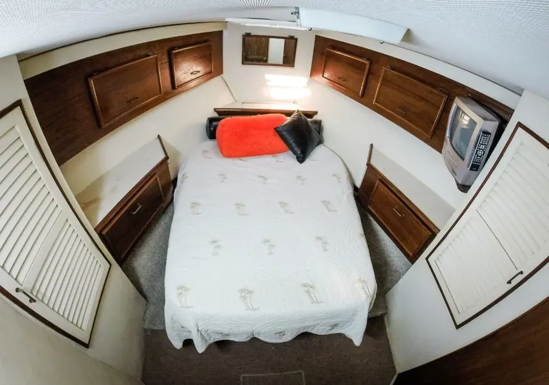 BERTRAM 38, photo 7