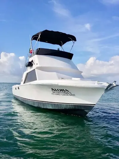 BERTRAM 31 fishing charter