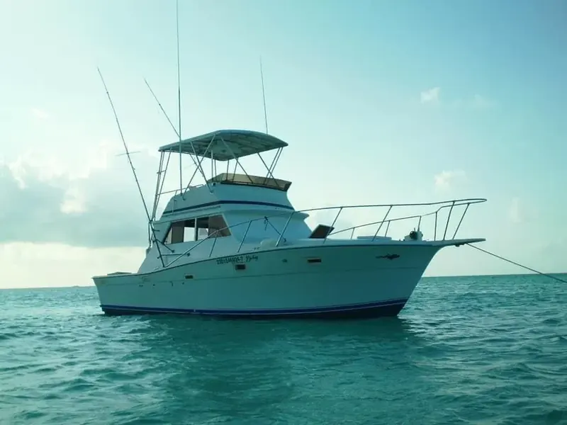 Viking 35 Ft fishing charter