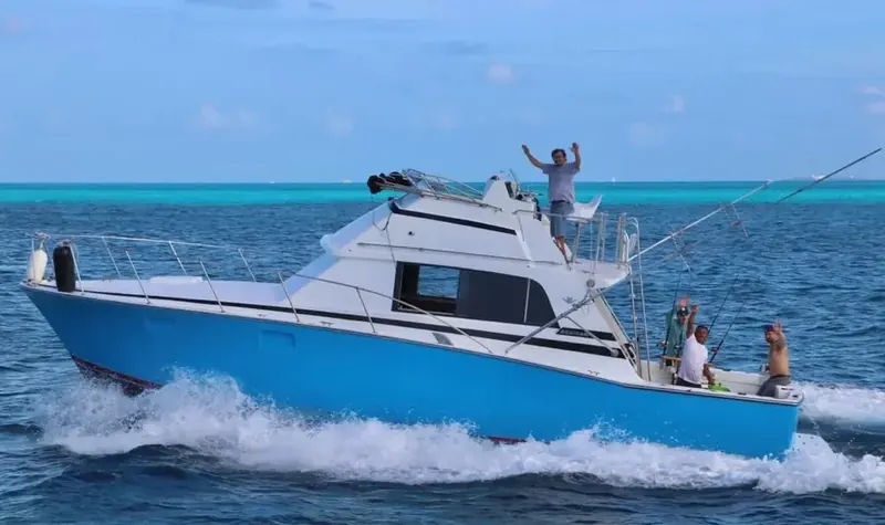 Bertram 40 Ft, photo 5