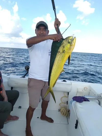 Charter 26 Ft, photo 9