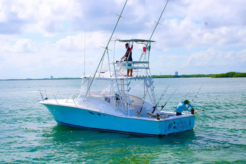 Bertram 32 ft, photo 12