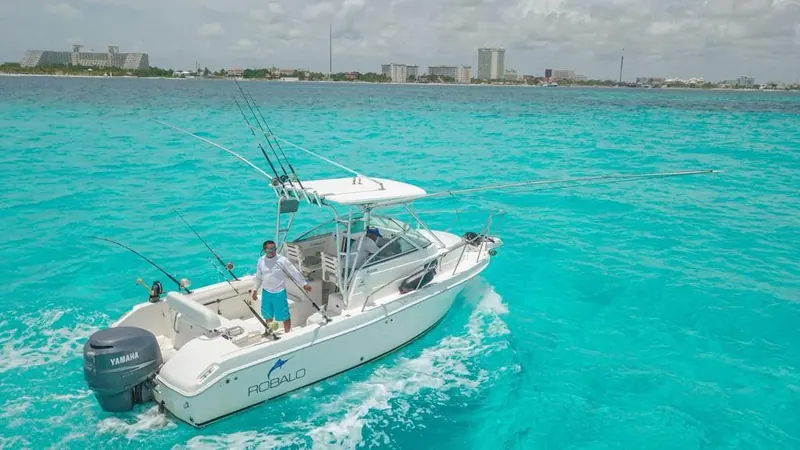 Charter 26 Ft, photo 4