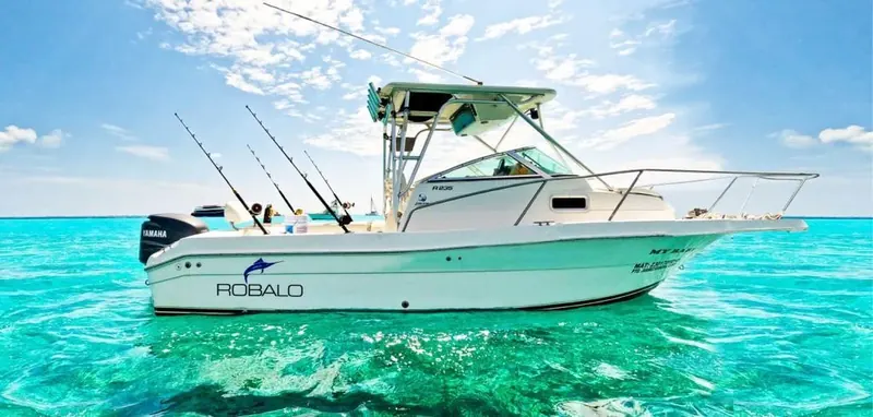 Charter 26 Ft, photo 2